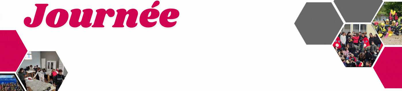 Copie de Bandeau ENT Quine (5).gif